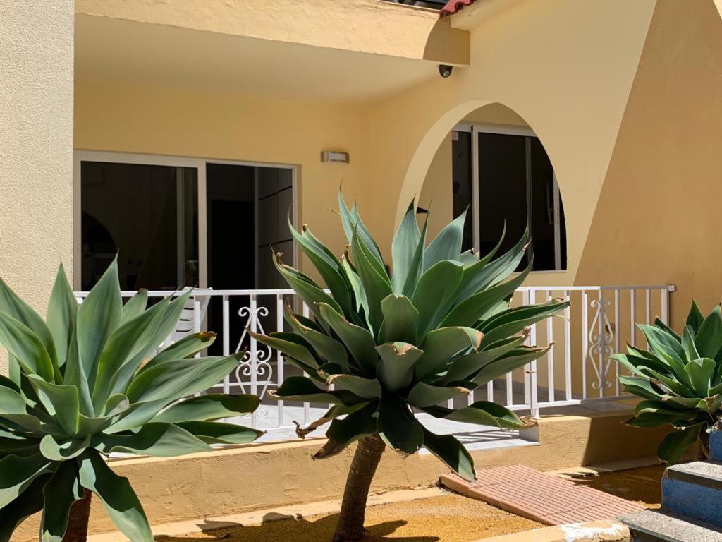 Costa Adeje-2 Bed.Apartment With Double Terrace Eksteriør billede